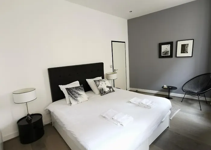 Very Nice Historical Center Apartment Bordeaux